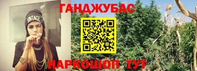 PSILOCYBIN Новокубанск