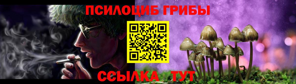 Галлюциногенные грибы MAGIC MUSHROOMS  Вход с VPN  Сочи 
